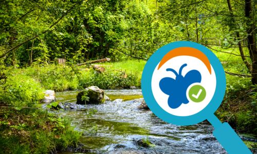 Vom Besucher zum Forscher